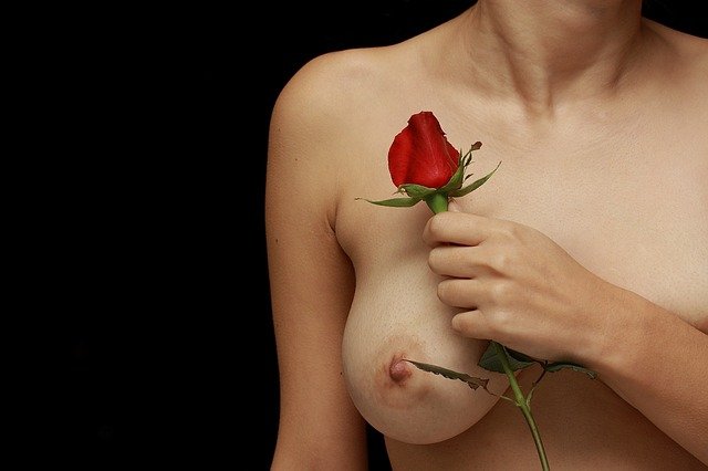 růže na prsou